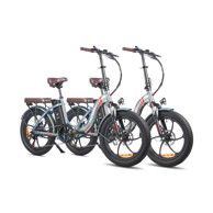 FAFREES F20 Pro električni bicikl 20" 250W, zeleni